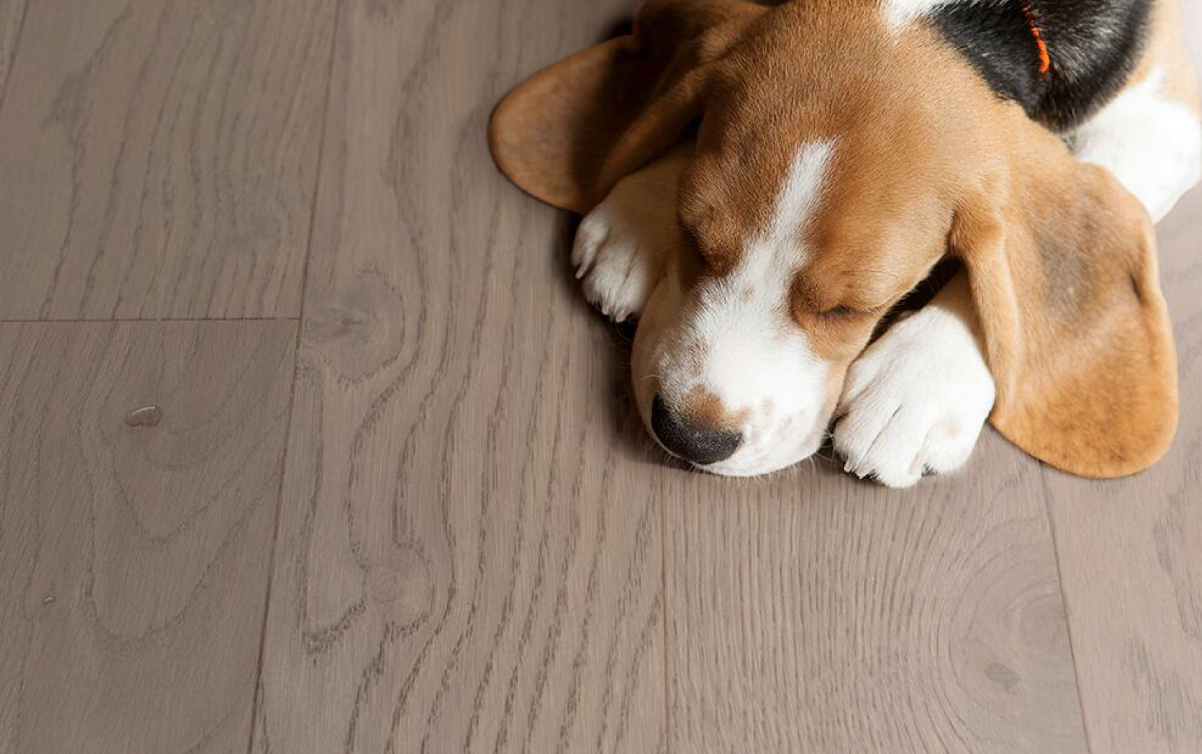 51漫画在线观看实木复合地板从“地”开始 图片24 51漫画在线观看实木复合地板从“地”开始 图片24